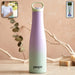 Insulated Water Bottle