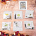 20 Varieties of Vegetable & Flower Seeds Combo (1 Pkt. / 20 Varieties) by Your Brand