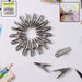 Cloth Drying Pins Stainless Steel Cloth Clips (20 Pcs Set) by Your Brand