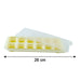 plastic ice mold