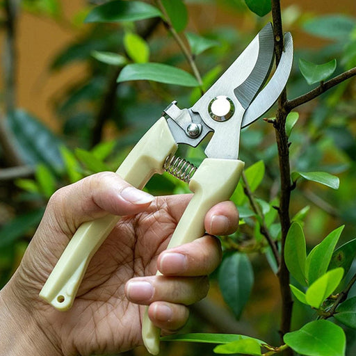 Plant Cutter for Home Garden, Wood Bran (1 Pc) by Your Brand