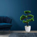 Top view of artificial plant in round pot