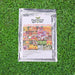 Seeds 20 Varieties of Flower Seeds Combo (1 Pkt / 20 Varieties) by Your Brand