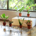 Metal Rectangle Flower plant stand for balcony (60×20 Cm / 2 Pc Set) by Your Brand