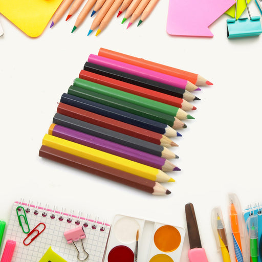 12pcs Colored Pencils With Sharpner Artist Pencils Colored (13 Pcs Set) by Your Brand