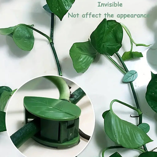 Plant Climbing Wall Fixture Clip (30 Pcs Set) by Your Brand