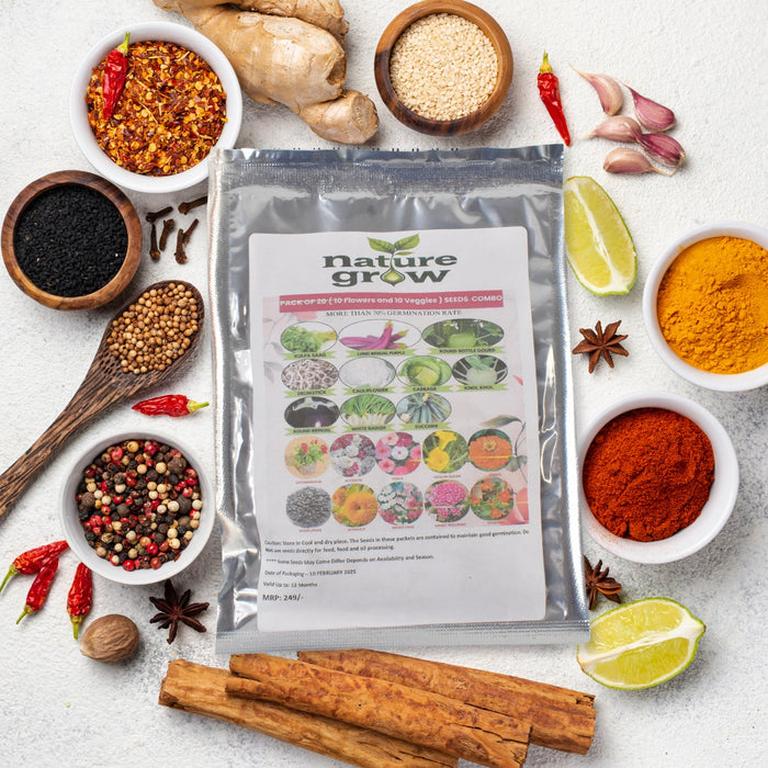 20 Varieties of Vegetable & Flower Seeds Combo (1 Pkt. / 20 Varieties) by Your Brand