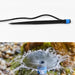 Water Flow Drippers Sprayer for Garden (1 Pc) by Your Brand
