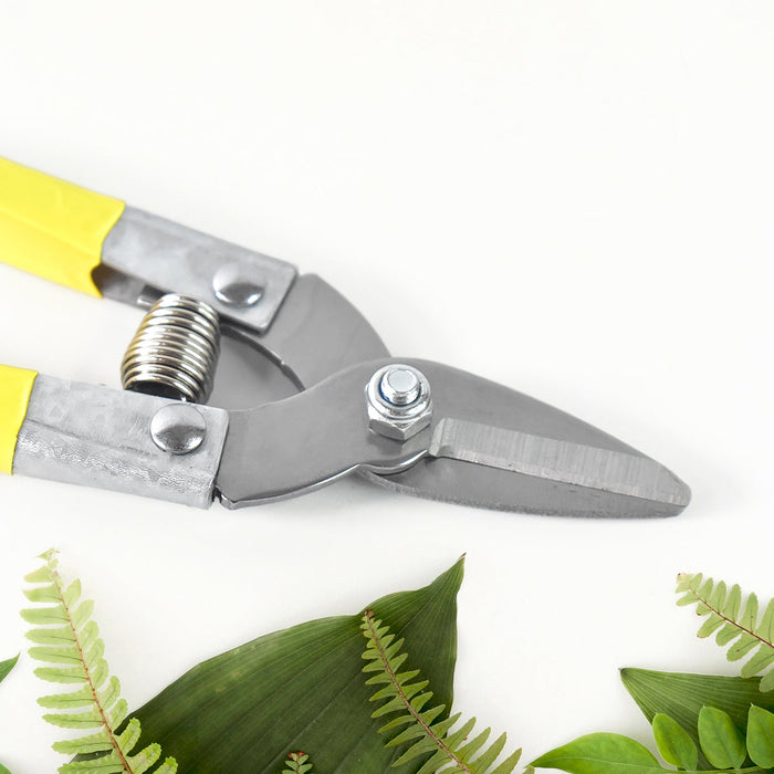 Precision Micro Garden Snip Pruning Scissor (small) by Your Brand