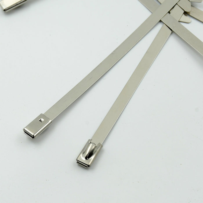 Stainless Steel Cable Ties for Solar & Home Use (100 Pc, 4.6x100mm)