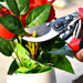 21Cm Red GARDEN SHEARS SHARP CUTTER PRUNERS SCISSOR, PRUNER. by Your Brand