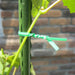 Reusable Green Twist Tie Roll (50 Meter Length) by Your Brand