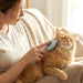 Soft Pet Hair Removal Needle Comb (1 Pc) by Your Brand