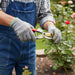 8 Inch Garden Pruners Scissor Cutter (1 Pc) by Your Brand