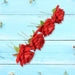 Crimson Grace Hair Clips