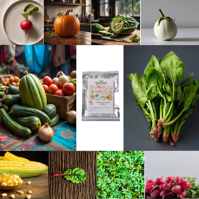 15 Varieties of Vegetable Seeds Combo (1 Pkt. / 15 Varieties) by Your Brand