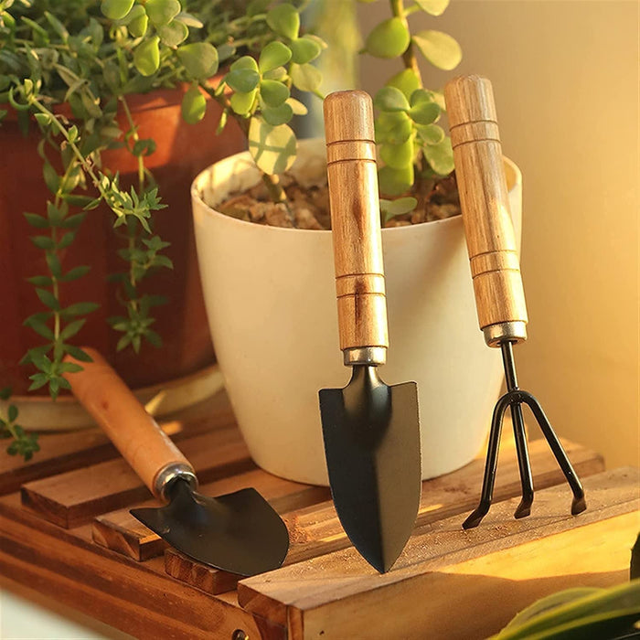 Garden Tool Kit Durable Hand Tools Set with Wooden Handle (3 Pc) by Your Brand