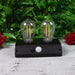 Solar Double LED Bulb Lamp YT-819- 2W (1 Pc) by Your Brand