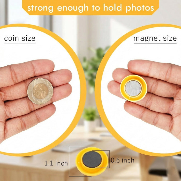 Colorful Round Refrigerator Magnets Set (12 Pc Set) by Your Brand