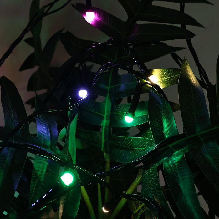 Luxury LED Fairy Light Set
