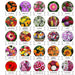 Seeds 20 Varieties of Flower Seeds Combo (1 Pkt / 20 Varieties) by Your Brand