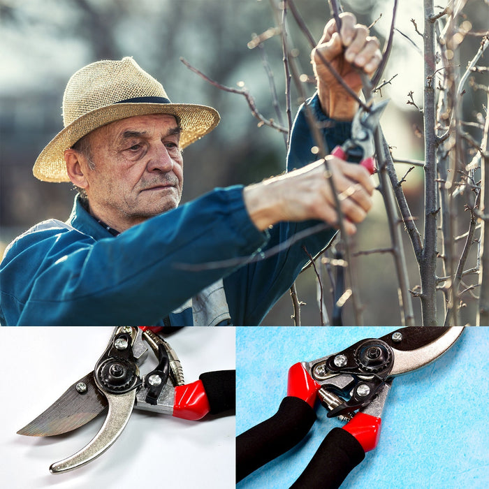 21Cm Red GARDEN SHEARS SHARP CUTTER PRUNERS SCISSOR, PRUNER. by Your Brand