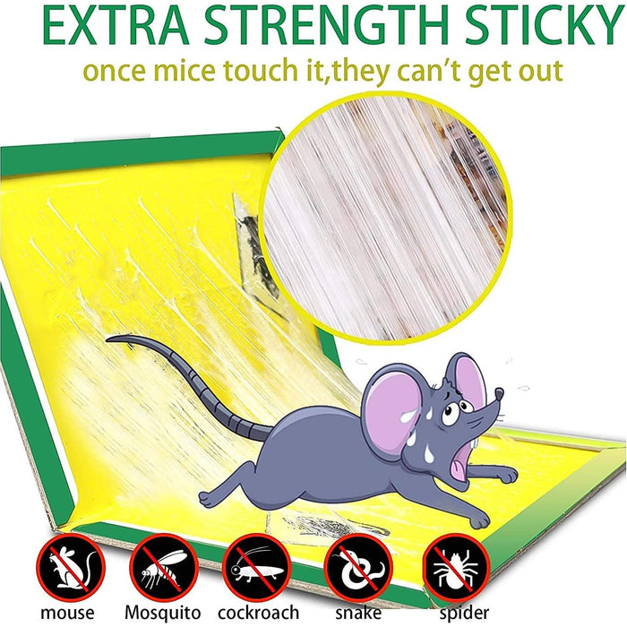 PCI Cardboard Troublegum Small Size Mouse Trap-1pc by Your Brand