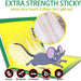 PCI Cardboard Troublegum Small Size Mouse Trap-1pc by Your Brand