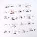 Seeds 20 Varieties of Flower Seeds Combo (1 Pkt / 20 Varieties) by Your Brand