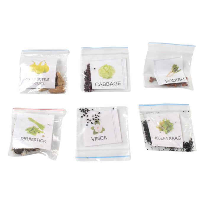 20 Varieties of Vegetable & Flower Seeds Combo (1 Pkt. / 20 Varieties) by Your Brand