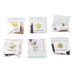 20 Varieties of Vegetable & Flower Seeds Combo (1 Pkt. / 20 Varieties) by Your Brand