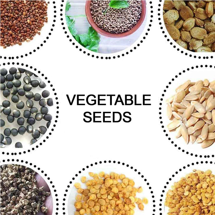 15 Varieties of Vegetable Seeds Combo (1 Pkt. / 15 Varieties) by Your Brand