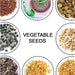 15 Varieties of Vegetable Seeds Combo (1 Pkt. / 15 Varieties) by Your Brand