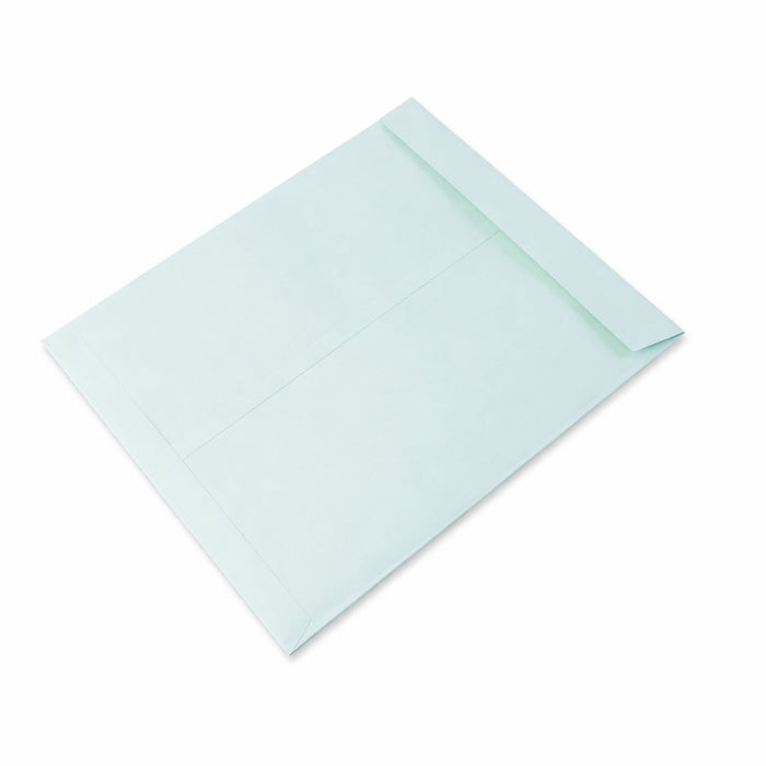 Polynet Premium Card Large Document Envelope (30x39cm, 1 Pc) by Deal dekho