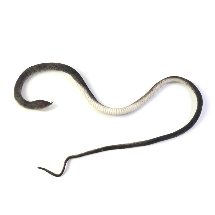 Realistic Rubber Snake Prank Toy (1 Pc) by Your Brand