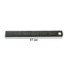 Precision Measuring Ruler Scale (15 cm ,1 Pc) by Your Brand