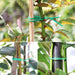 Reusable Green Twist Tie Roll (50 Meter Length) by Your Brand
