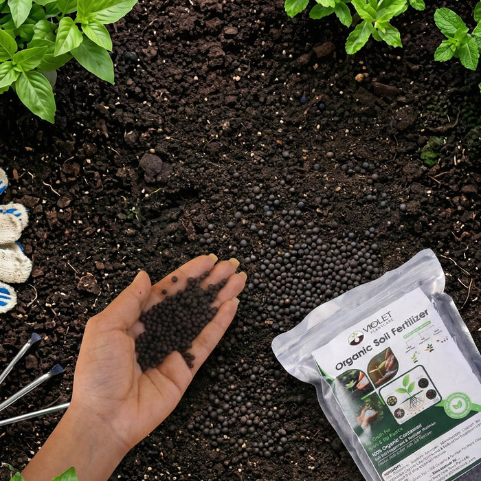 Black Organic Soil Fertilizer for Home Gardening (1 Pc, 1 Kg) by Your Brand