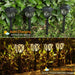 Solar Pathway Lights Outdoor Garden Lights (2 Pcs Set) by Your Brand