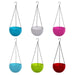 Plastic Hanging Flower Pot and Flower Pot with Chain (6 Pc) by Your Brand