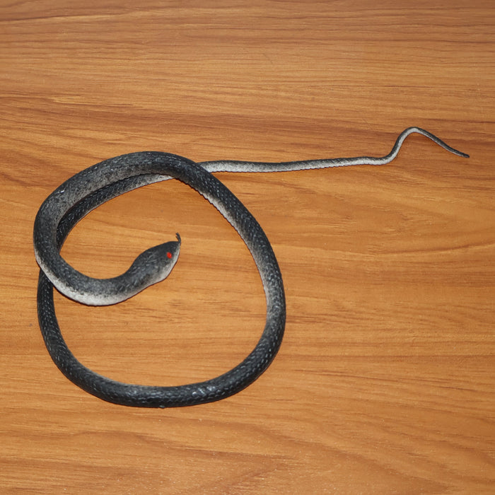 Realistic Rubber Snake Prank Toy (1 Pc) by Your Brand