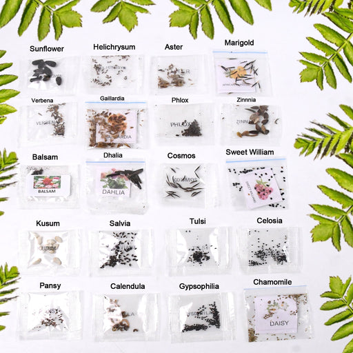 Seeds 20 Varieties of Flower Seeds Combo (1 Pkt / 20 Varieties) by Your Brand