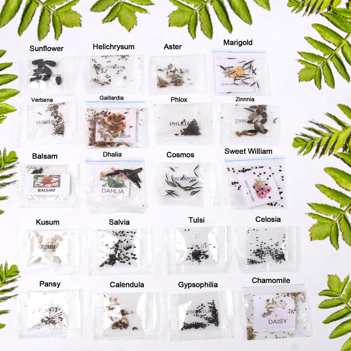 Seeds 20 Varieties of Flower Seeds Combo (1 Pkt / 20 Varieties) by Your Brand