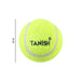 standard size tennis ball for game practice