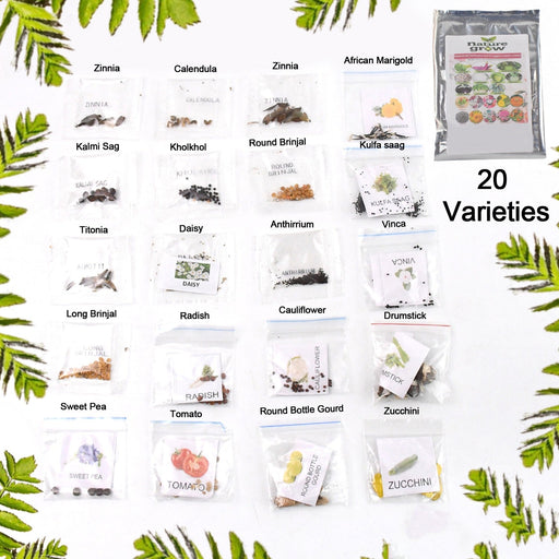 20 Varieties of Vegetable & Flower Seeds Combo (1 Pkt. / 20 Varieties) by Your Brand