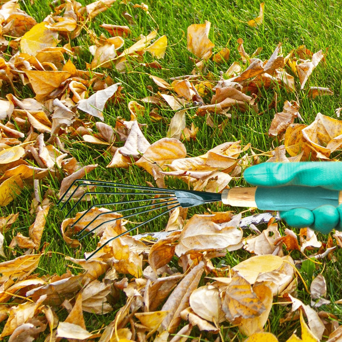 Stainless Steel Tooth Garden Leaf Rake by Your Brand
