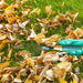 Stainless Steel Tooth Garden Leaf Rake by Your Brand