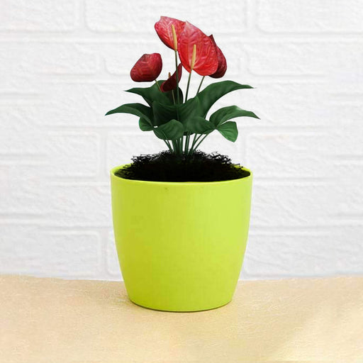 Flower Pots Round Shape For Indoor / Outdoor Gardening by Your Brand