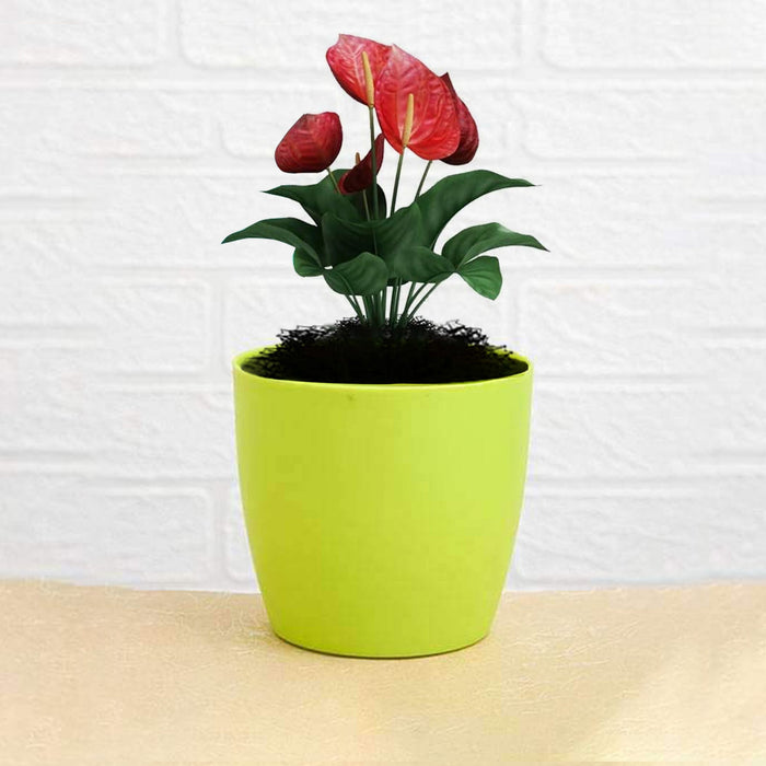 Flower Pots Round Shape For Indoor / Outdoor Gardening by Your Brand