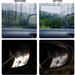  Anti-Fog Anti-Scratch Rearview Mirror Film HD - scale and size reference